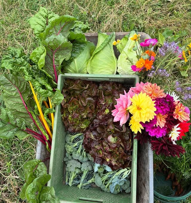 Friske grøntsager og blomster fra Buresødal